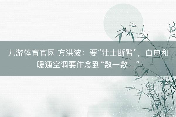 九游体育官网 方洪波:要“壮士断臂”,白电和暖通空调要作念到“数一数二”