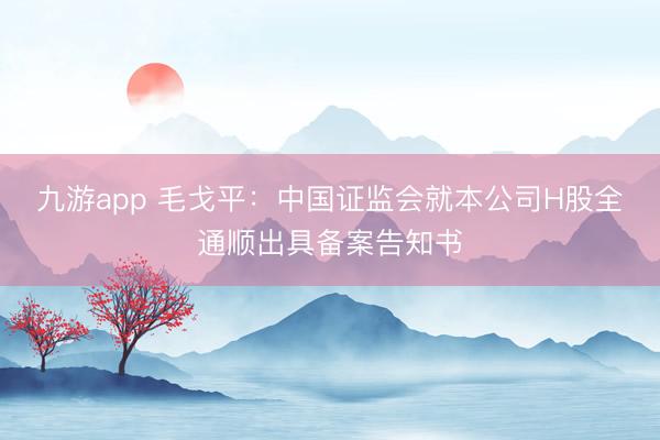 九游app 毛戈平：中国证监会就本公司H股全通顺出具备案告知书