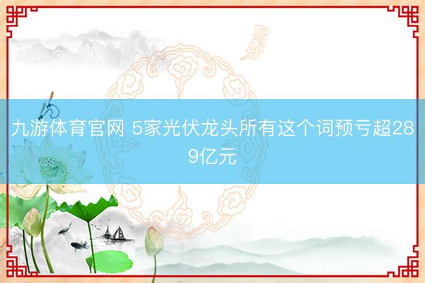 九游体育官网 5家光伏龙头所有这个词预亏超289亿元