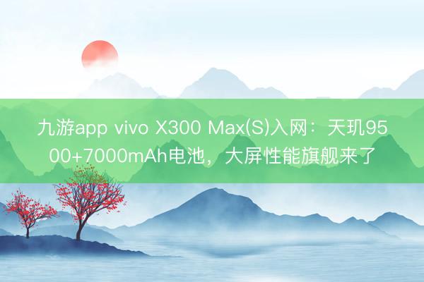 九游app vivo X300 Max(S)入网：天玑9500+7000mAh电池，大屏性能旗舰来了