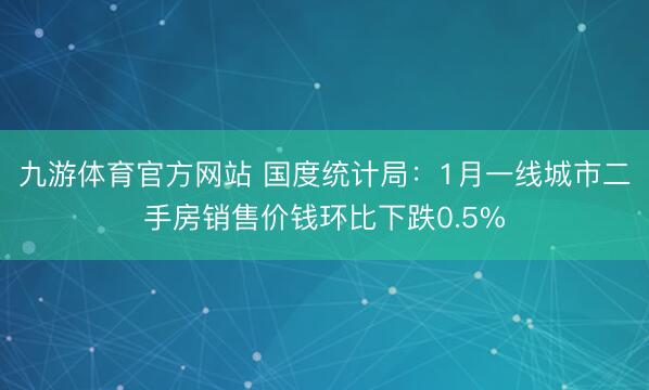 九游体育官方网站 国度统计局：1月一线城市二手房销售价钱环比下跌0.5%