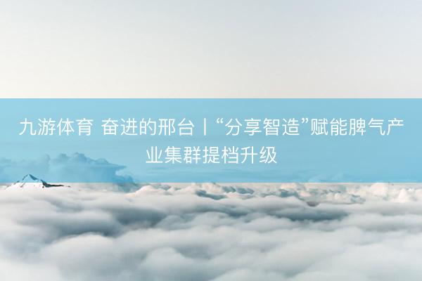 九游体育 奋进的邢台丨“分享智造”赋能脾气产业集群提档升级