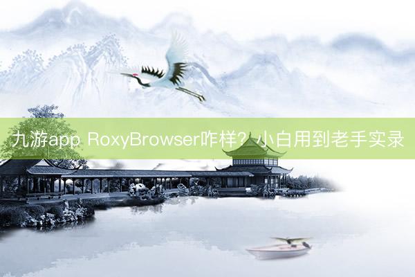 九游app RoxyBrowser咋样?小白用到老手实录