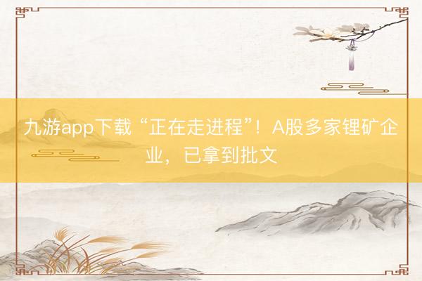 九游app下载 “正在走进程”！A股多家锂矿企业，已拿到批文