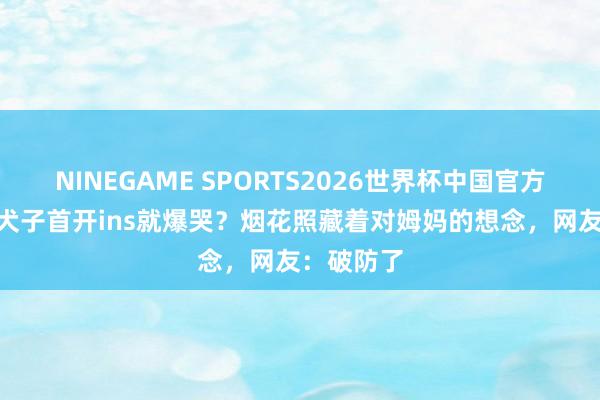 NINEGAME SPORTS2026世界杯中国官方网站 大S犬子首开ins就爆哭？烟花照藏着对姆妈的想念，网友：破防了