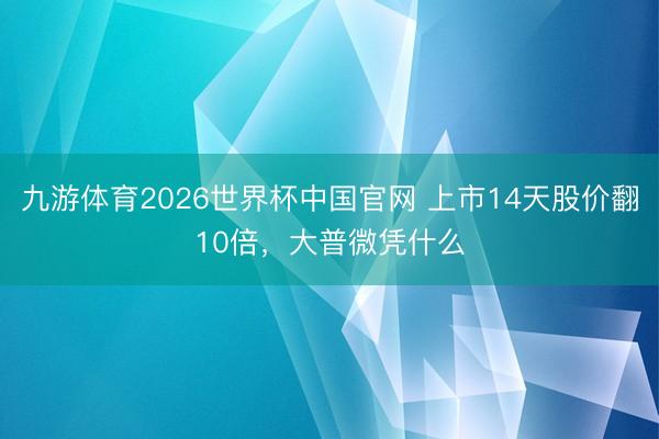 九游体育2026世界杯中国官网 上市14天股价翻10倍，大普微凭什么
