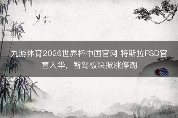 九游体育2026世界杯中国官网 特斯拉FSD官宣入华，智驾板块掀涨停潮