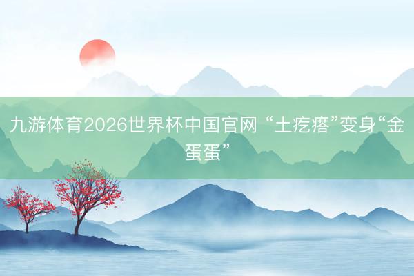 九游体育2026世界杯中国官网 “土疙瘩”变身“金蛋蛋”