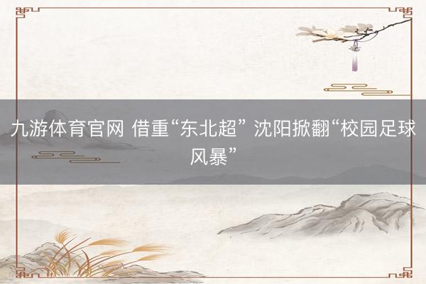 九游体育官网 借重“东北超” 沈阳掀翻“校园足球风暴”
