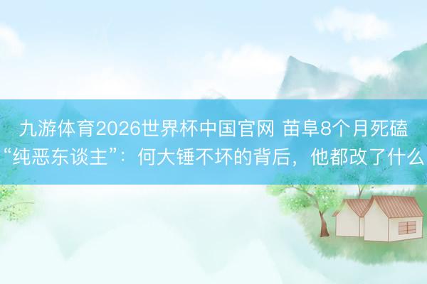 九游体育2026世界杯中国官网 苗阜8个月死磕“纯恶东谈主”：何大锤不坏的背后，他都改了什么