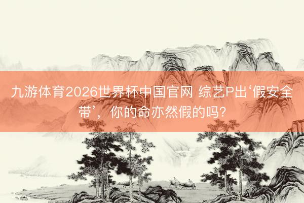 九游体育2026世界杯中国官网 综艺P出‘假安全带’，你的命亦然假的吗？