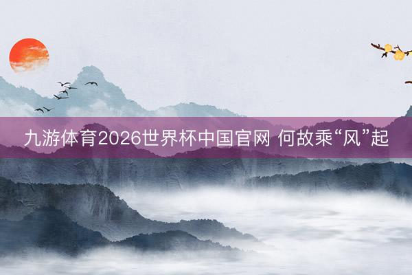 九游体育2026世界杯中国官网 何故乘“风”起