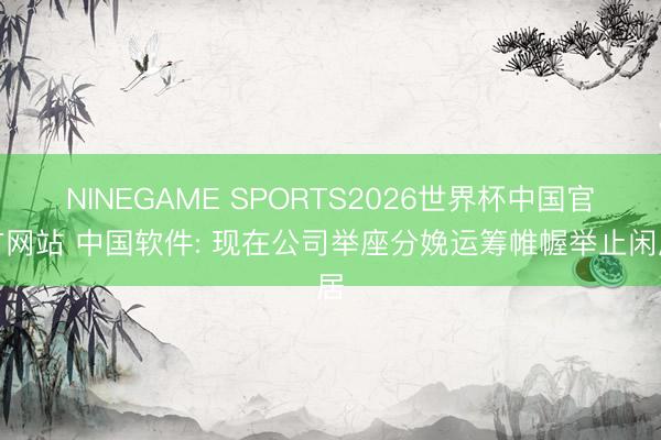 NINEGAME SPORTS2026世界杯中国官方网站 中国软件: 现在公司举座分娩运筹帷幄举止闲居
